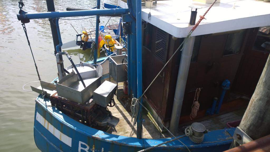 Blauort12 Daire Büsum Oda fotoğraf